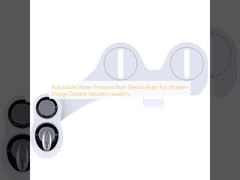 Presión de agua ajustable Bidet no eléctrico para diseño moderno Dos boquillas de baño